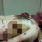 ボストン爆破テロ：死亡したタメルラン・ツァルナエフ容疑者の死体写真が流出／Corpse photo of Bombing Suspect “Tamerlan Tsarnaev” leaked